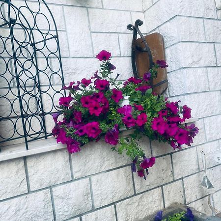 Apartmani Linda 沃迪切 外观 照片