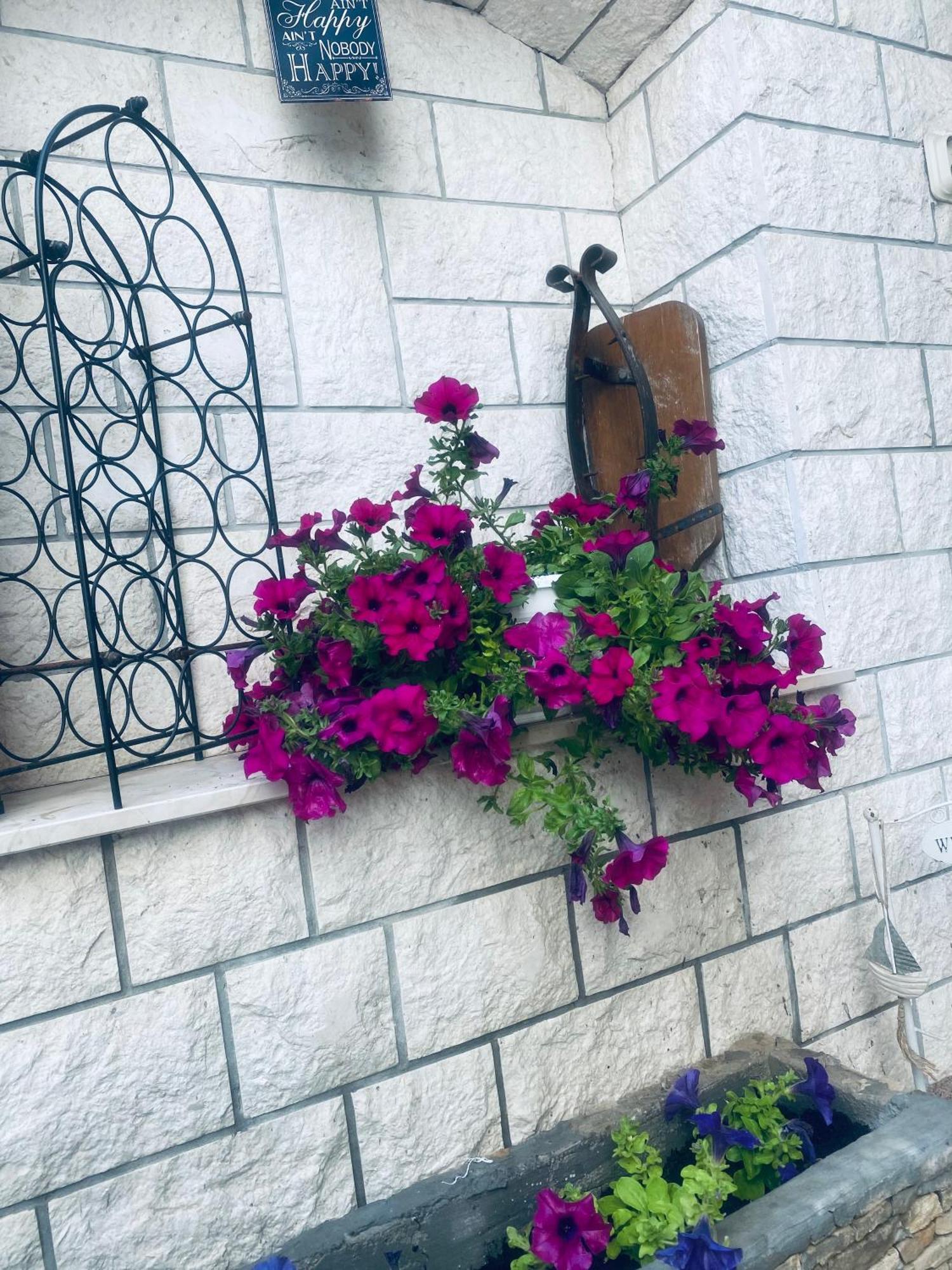 Apartmani Linda 沃迪切 外观 照片